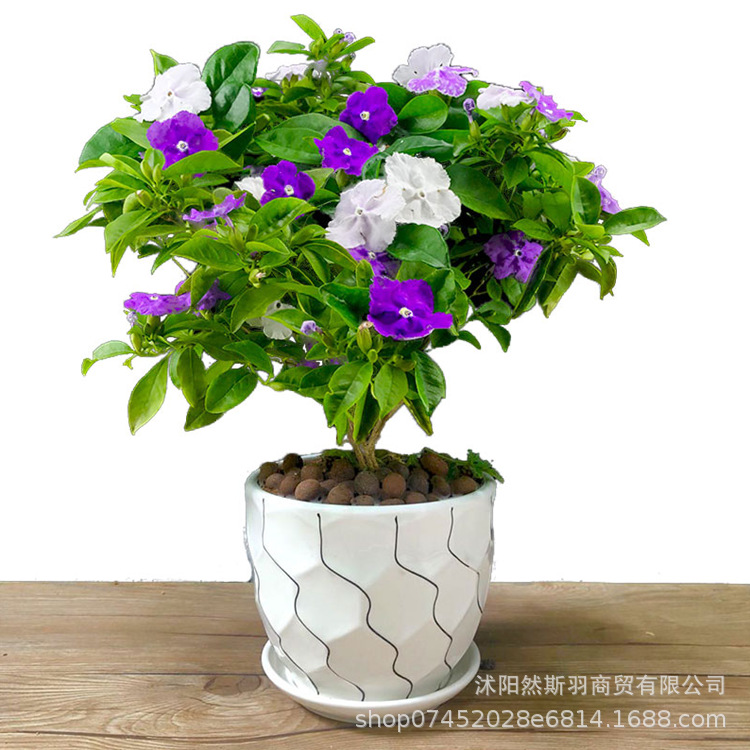 QQ图片20200802183335