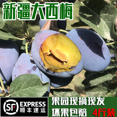 Xinjiang Prunes Richard goddess Prunes fresh Season fruit Net weight 4 Shunfeng express