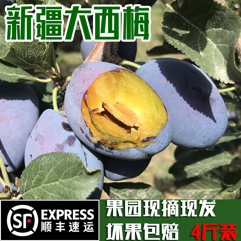 Xinjiang Prunes Richard goddess Prunes fresh Season fruit Net weight 4 Shunfeng express