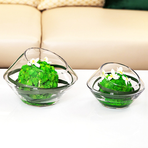 Hydroponic flower arrangement oblique mouth glass flower vase hotel coffee table dining table soft decoration floral art ornament living room home decoration 