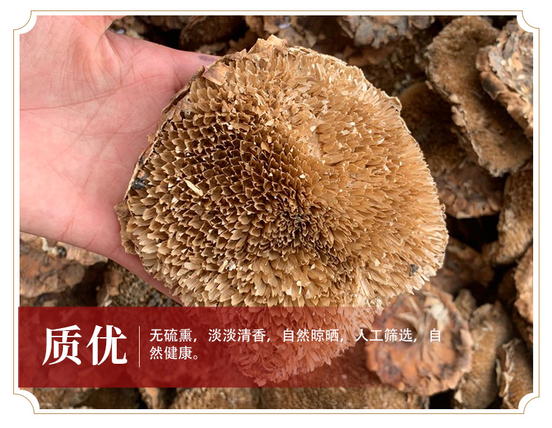 Dried Sunflower Disc Kui Hua Pan Helianthus annuus Whole Flower Head Traditional Herbal Ingredient 500g quality and texture