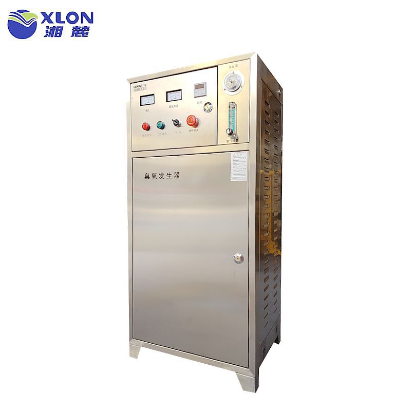 湖南臭氧发生器厂家 中型臭氧消毒机 G100臭氧发生器一件起批