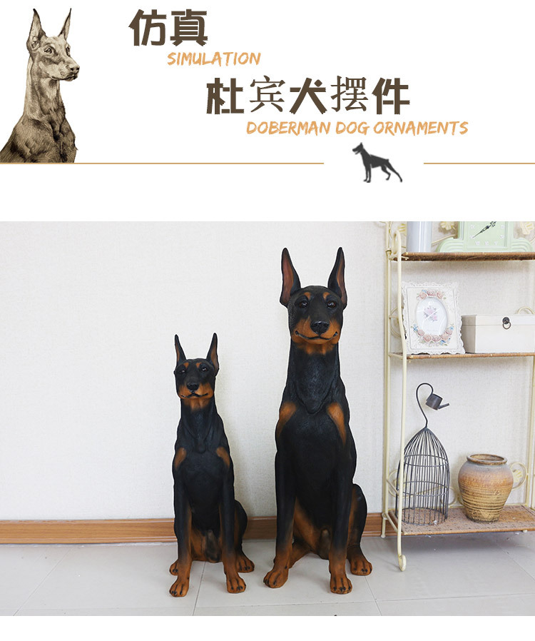 杜宾犬_01.jpg