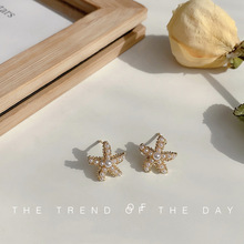 高級感法式小眾設計感耳釘珍珠海星少女耳墜韓版可愛復古小巧耳環