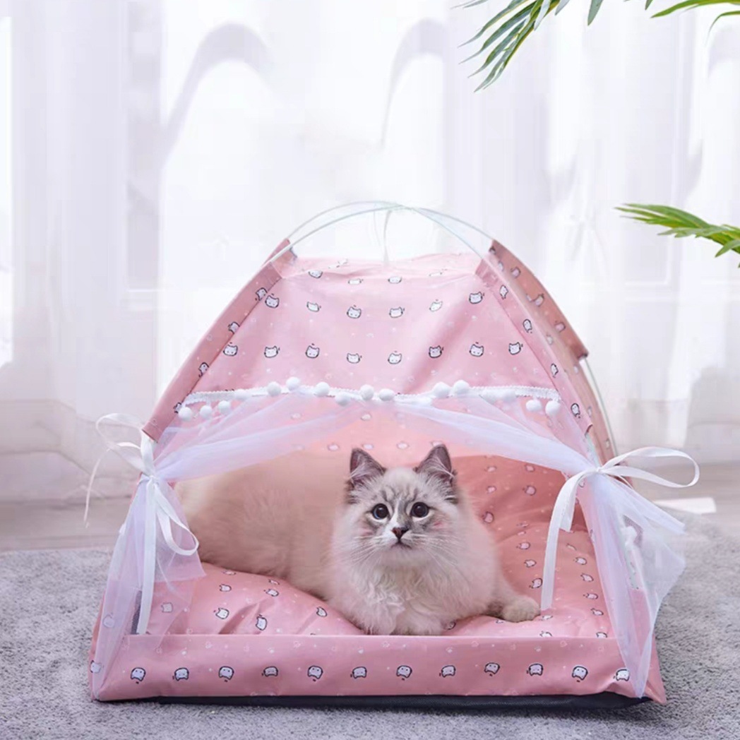 粉色猫咪.jpg
