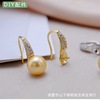 Earrings, accessory