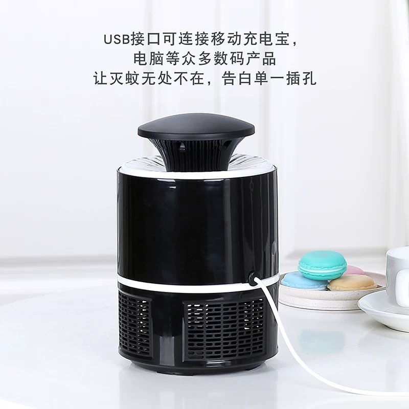 IMG_6508(20200213-145243)