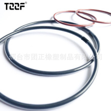 TZZF�F������   �������zO���ܷ�Ȧ FEP/PFA+FKM/VMQ 20MPV