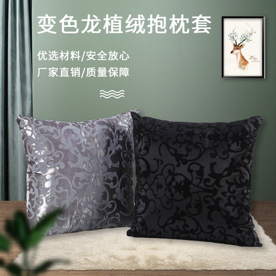 Office ins Simplicity Flocking Pillowcase Manufactor Direct selling advertisement Chameleon sofa Pillows Cushion By pillowcase