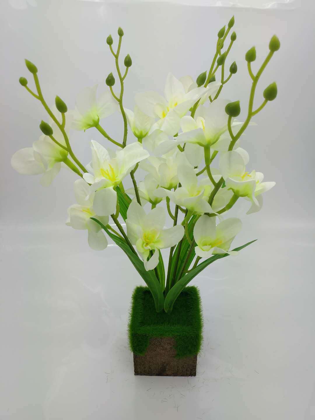 WeChat 圖片_20200704113657