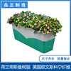 Pinzheng Manufactor Direct selling elevated bridge cement durable light High-strength FRP Flower pot