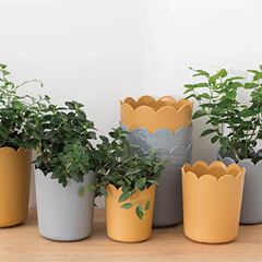 花盆塑料花盆花瓣花盆現代簡約辦公室盆栽懶人花盆
