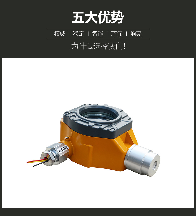 广东地区可燃气体浓度报警仪带声光带显示功能