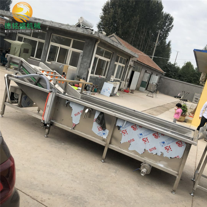 云南大理黄秋葵气泡清洗机 多功能喷淋式清洗机 蔬菜深加工设备
