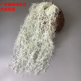 �S�����l����Gֲ����� ����ֲ����b� �������ϰ�ɫ�՚��P��