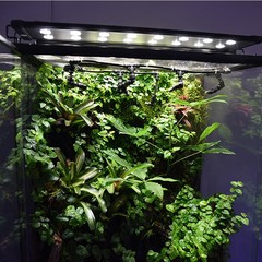 Cool black sprinkler head rainforest tank garden flower moss humidification spray head rainforest sprinkler head rainforest tank sprinkler head