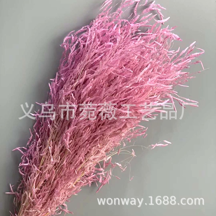 微信图片_20200209024558