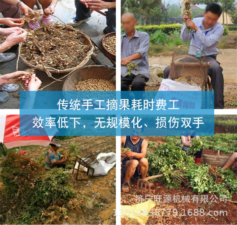 农用花生摘果机 电动花生摘果机 自动花生摘果机-阿里巴巴