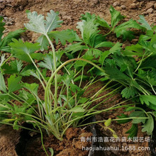 �����޸����� ���~ί������~ί��� �o�¹��@С�^�G��