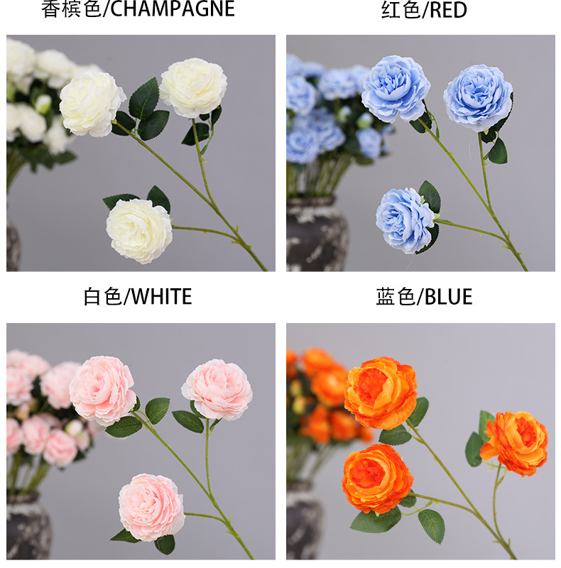 洋牡丹_05.jpg