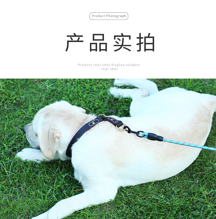 狗绳详情页_11.jpg