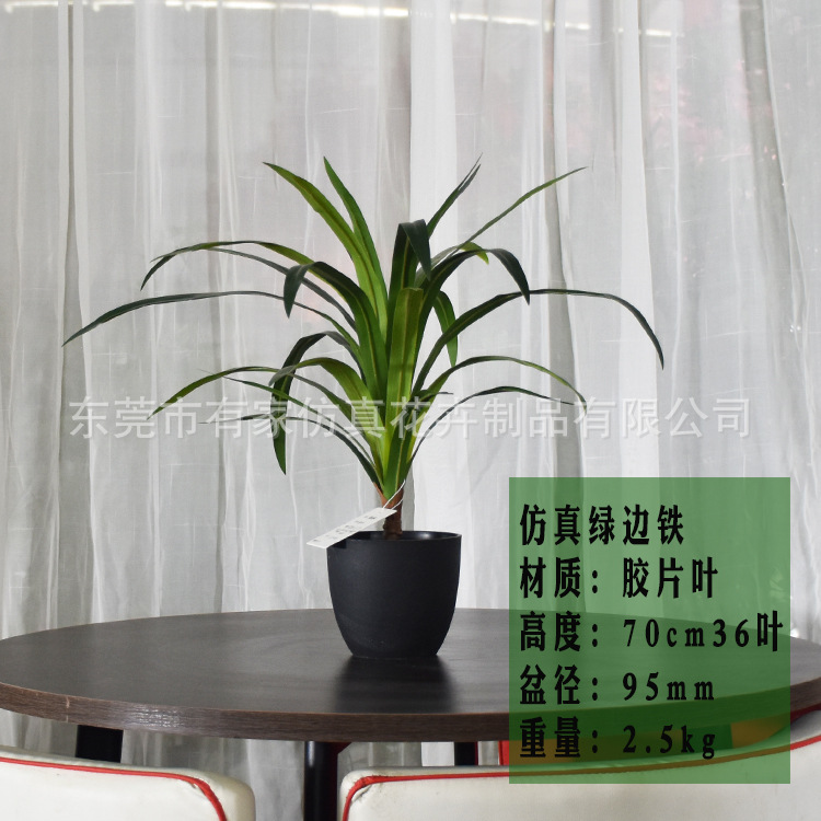 Decoración suave para árbol de hierro de sangre de dragón artificial Nórdico madera brasileña falsa decoración de maceta artificial planta tropical paisaje paisajismo