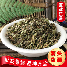 批发中草药 牛至 散装新货 西餐调味香料原料  牛至草  土茵陈C