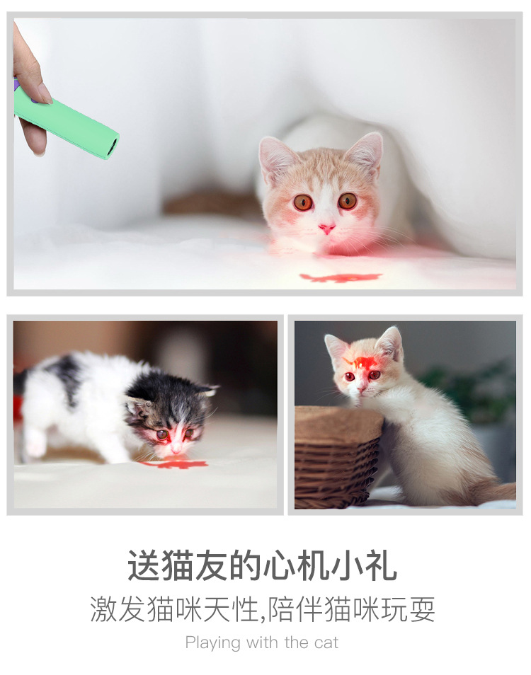 宠物用品宠物用品猫用品外贸热销 猫咪互动LED激光逗猫棒 猫玩具益智投影笔逗猫棒详情7