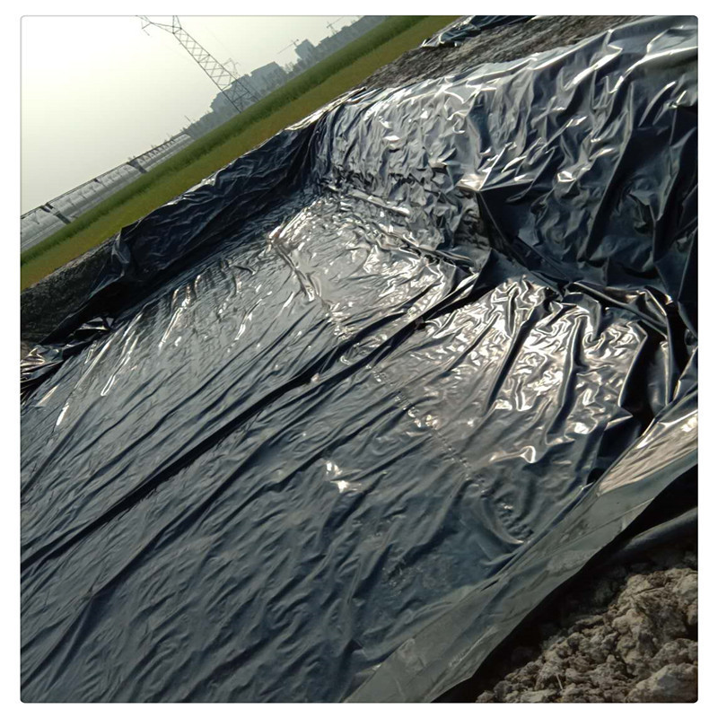 蓄水池藕池护坡防水膜黑色塑料膜屋顶防水土工膜水产养殖土工膜