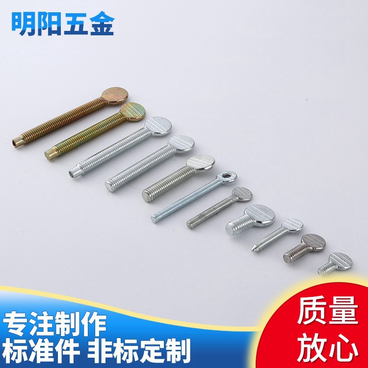 厂家供应 不锈钢球拍螺丝 镀锌球拍螺丝 手拧螺丝 规格齐全