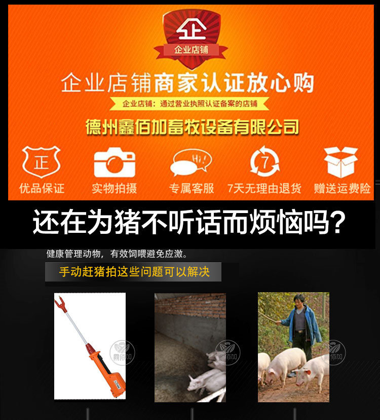 赶猪拍C详情页 (2).jpg