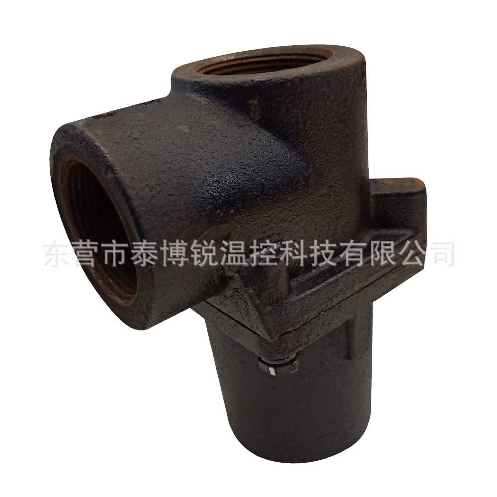 温控阀总成 HTTV2 可定制 法兰、螺纹安装接口2寸