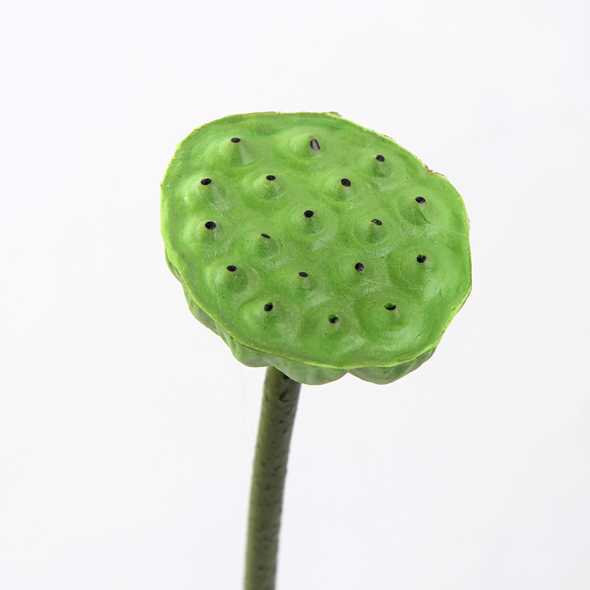 单支莲蓬小 2.jpg