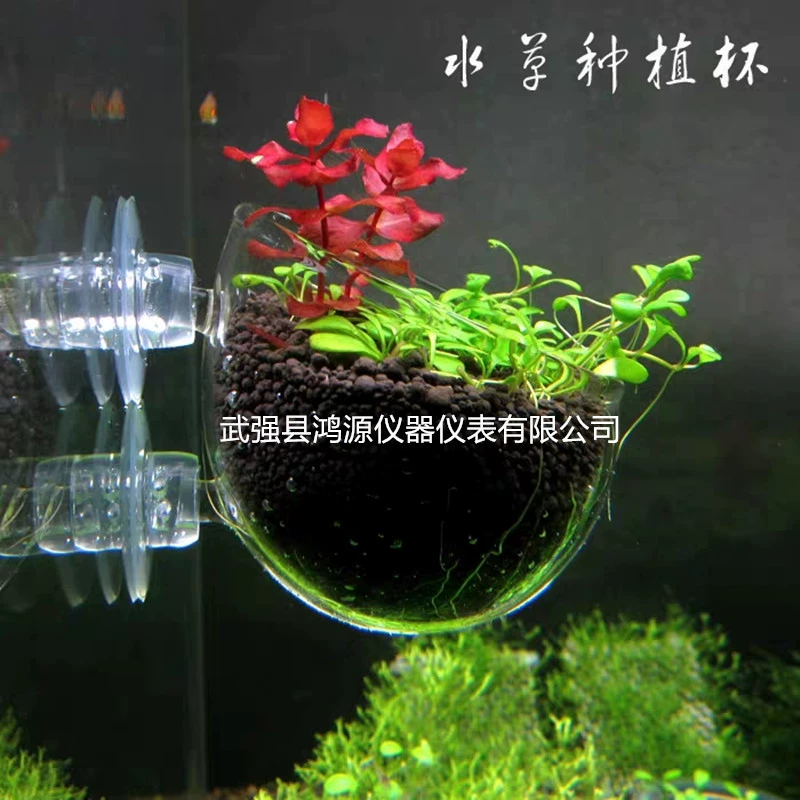 Травяная банка ландшафтный дизайн бассейна co2 водное растение чашка для кормления грязь бассейн для водных растений Хрустальное стекло вода растение чашка выращивание посадка ландшафтный дизайн чашка
