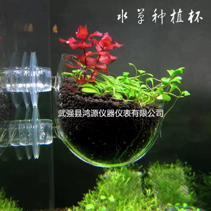 草缸造景盆co2水草泥饲育杯水草盆水晶玻璃水草杯培育种植 造景杯