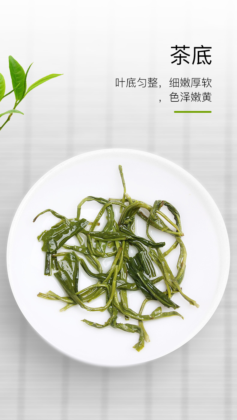 蒙顶山绿茶(香茶1#)_05