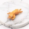 Little orange cat