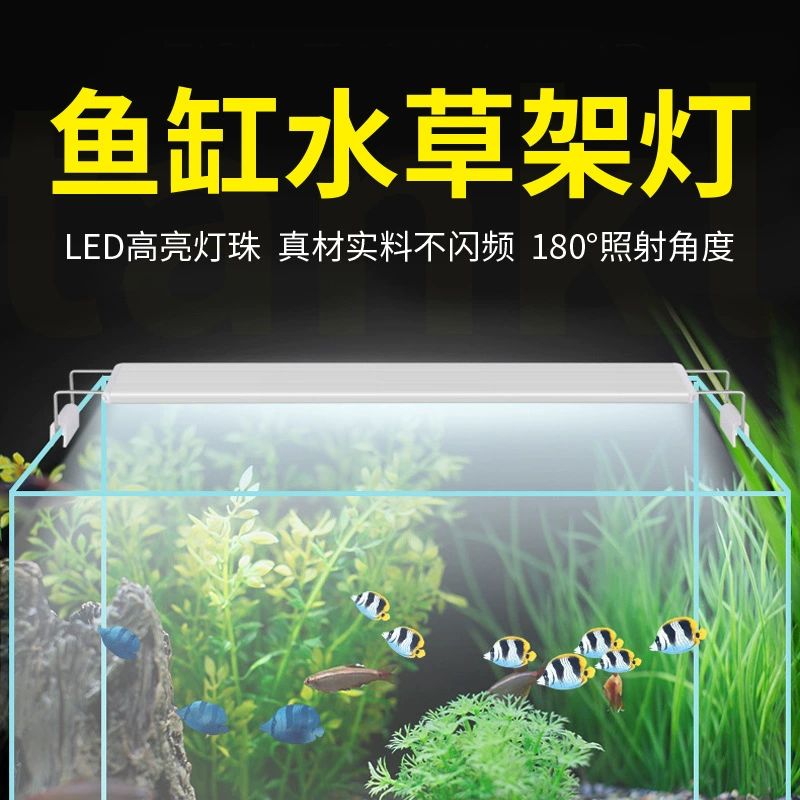 Underwater aquarium, LED shelf lighting, aquatic plants, lights