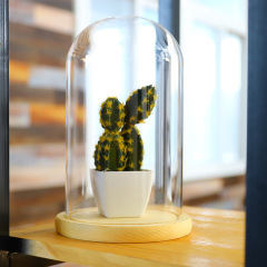 Preserved flower glass cover, preserved flower cover, cake cover, micro landscape glass vase, Valentine's Day gift, birthday gift