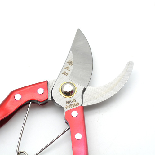 Dezhizhu Garden Pruning Shears Greening Trimming Tool Fruit and Flower Picking Shears Fruit Branch Gardening Tree Pruner