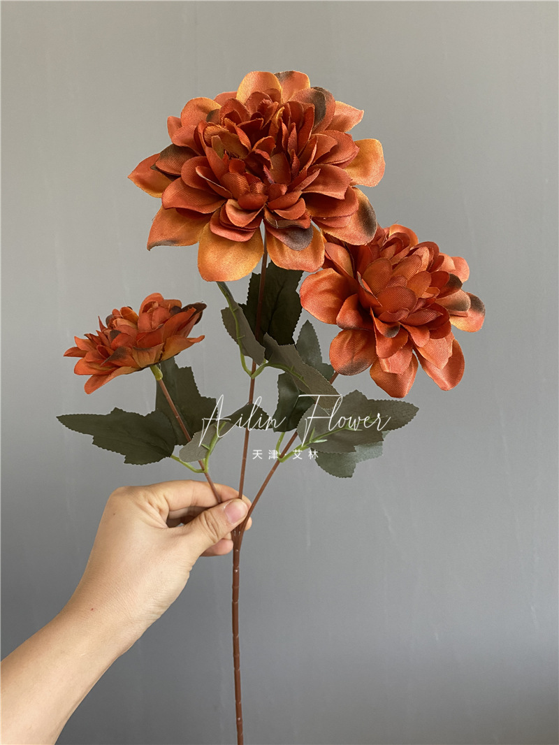 3 autumn colorful flowers