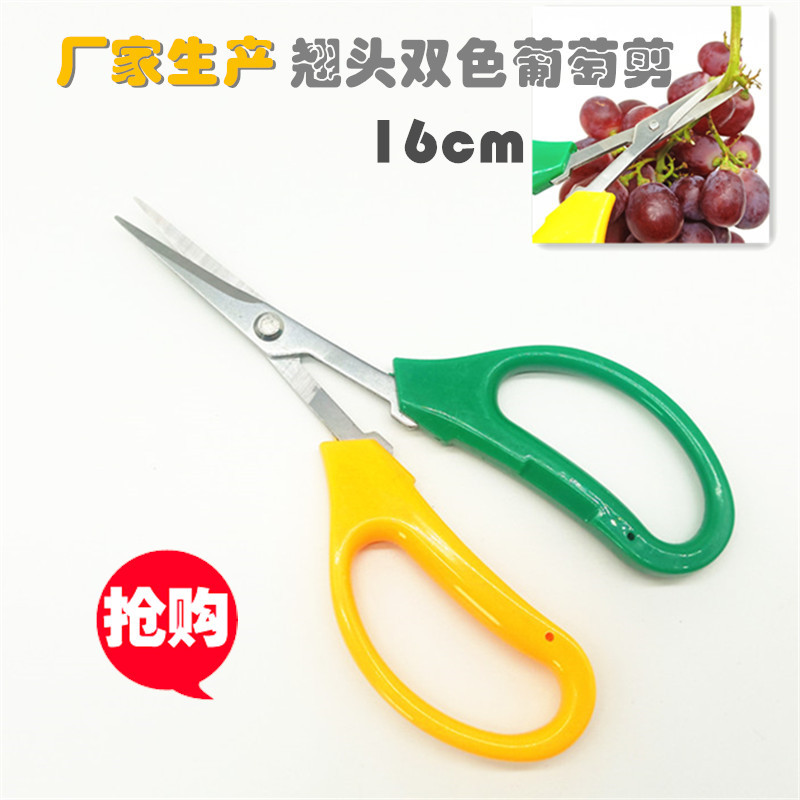 IMG20191012154719_副本2_副本3_副本