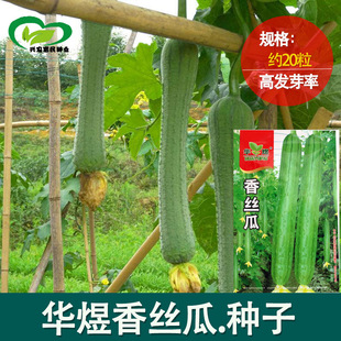 �o����z�ϷN�� �r���ˈ@Ƥ���������|��ā�o��z���� �߲˷N��