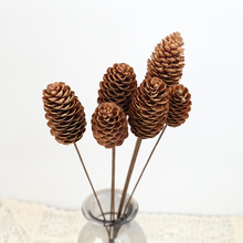 云南干花 家居软装DIY花材客厅摆件 圣诞节装饰 松塔棉花干花