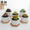 Dongheng multi -meat flower pot potted ceramic creative white flower pot small hexagonal polysmal white porcelain small flower pot set