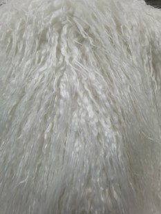 �F؛Ư�מ���ë���枩��ë�Lë�q�L��ë�Lë�L���L�}���z����ëƤ