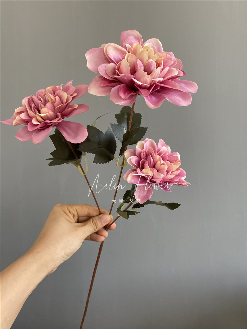 3 autumn colorful flowers