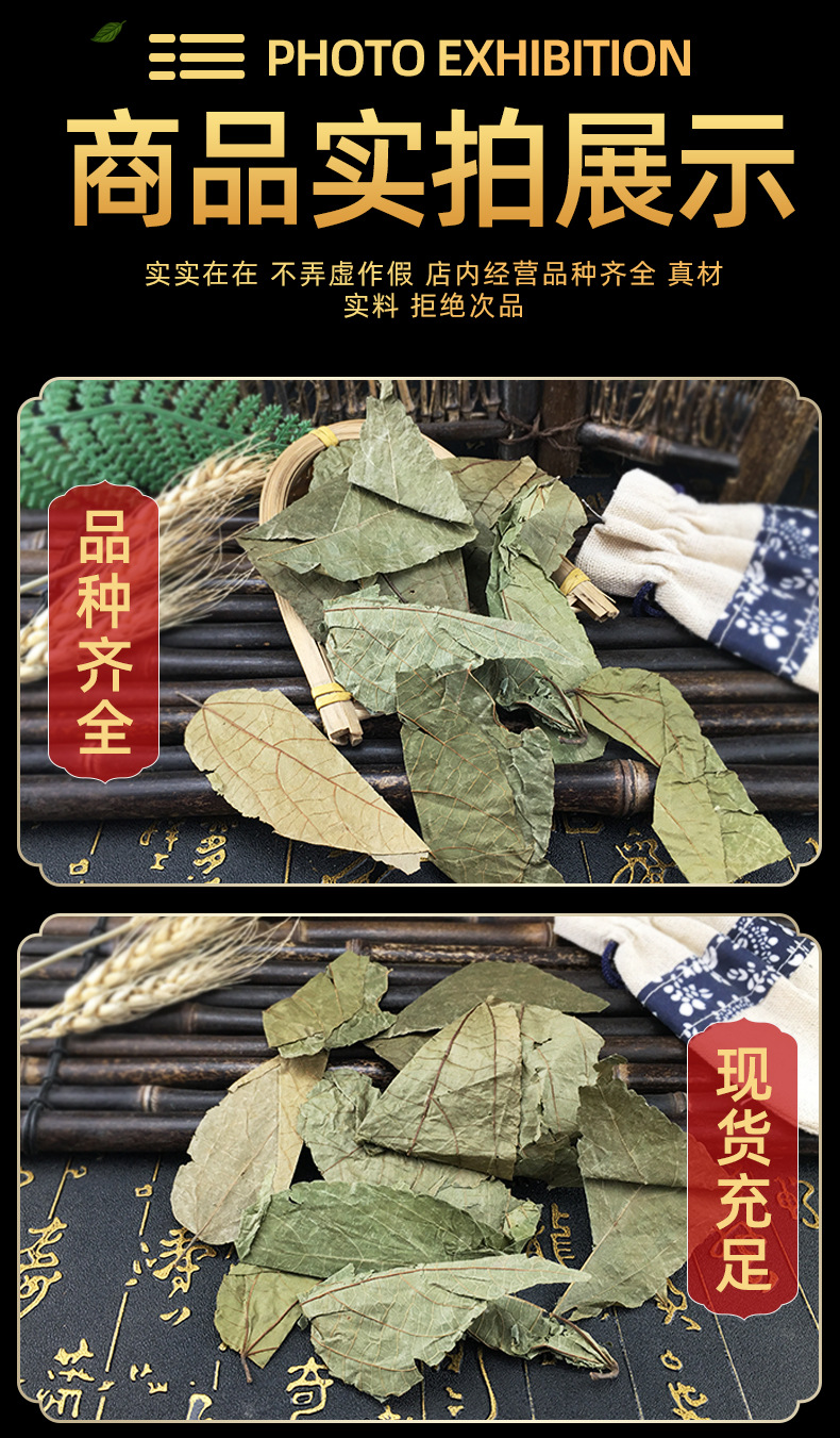 Bu Zha Ye Dried Microcos Leaf Clean New Harvest Bulk Wholesale Supply in use