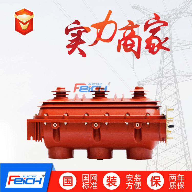 浙江飞创FLN36 -12户内六氟化硫断路器&LW8-40.5