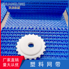 厂家定制生产食品塑料输送带 洗碗机尼龙网带 清洗机网带塑料网链